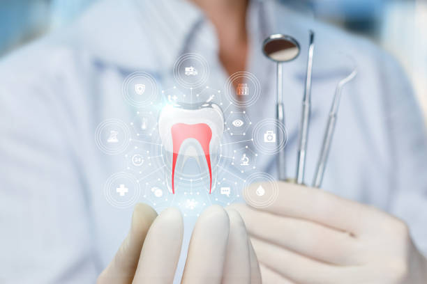 Professional Dental Services in Grosse Pointe Farms, MI